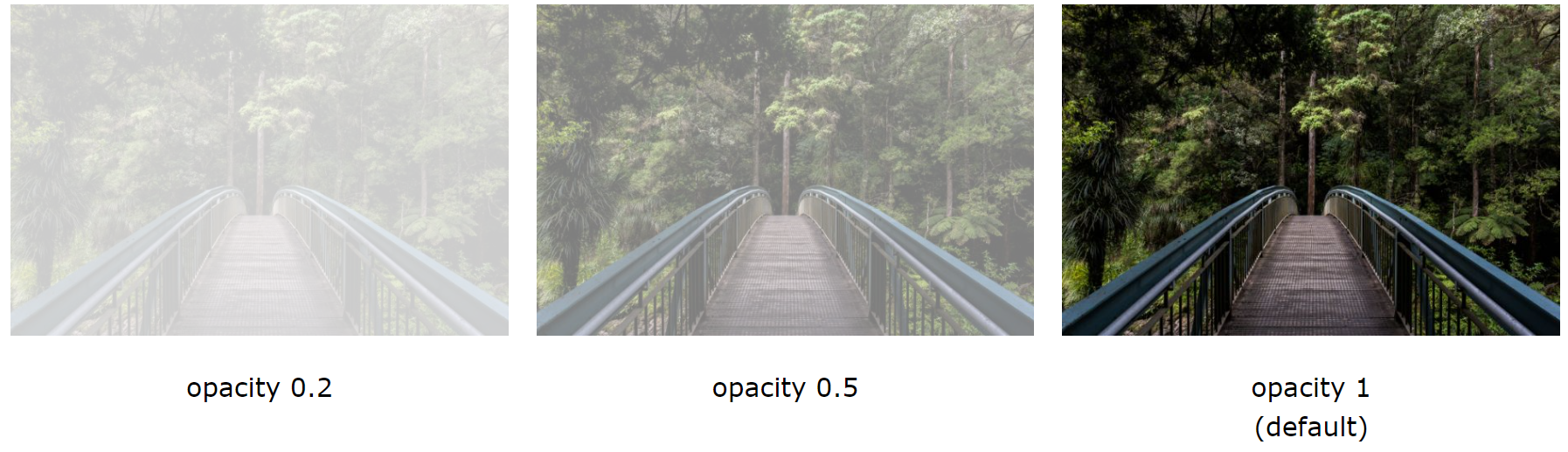 ../_images/opacity.png