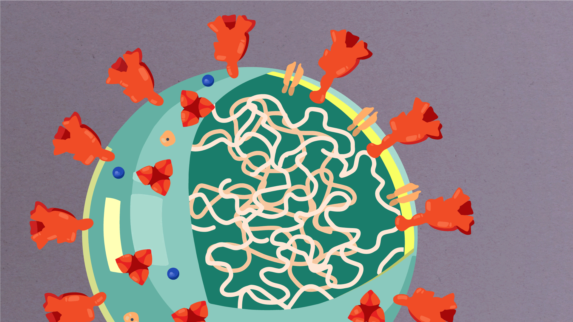 ../_images/virus.gif
